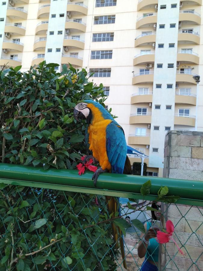 Appartement 504 - Apartamento Caldas Novas, Com Bebidas Liberadas No Parque Aquatico E Internet Banda Larga Extérieur photo